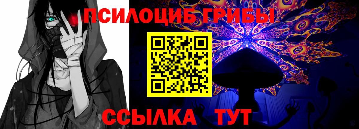 Галлюциногенные грибы Magic Shrooms  Галлюциногенные грибы мухоморы  Вход с VPN  Тара 