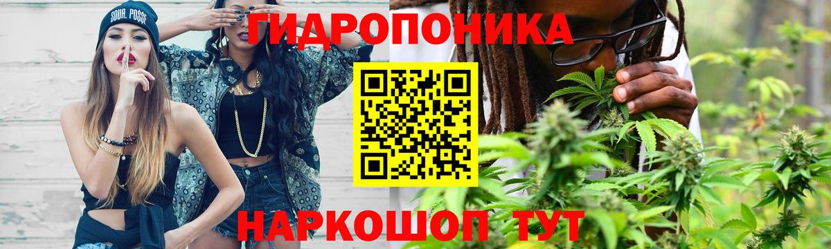Бошки Шишки Amnesia Тара